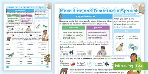 Spanish Masculine And Feminine Gender Worksheet Twinkl