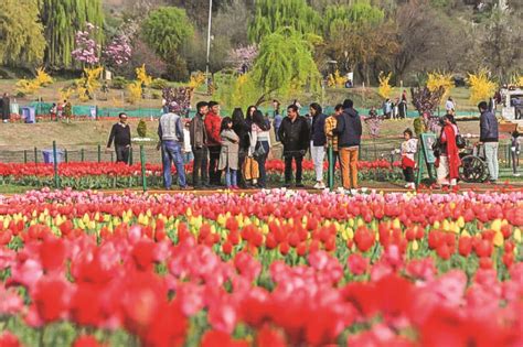 Kashmir Ready To Greet Summer With Record Breaking Tourist Footfall