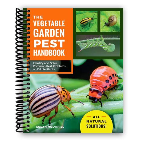 The Vegetable Garden Pest Handbook Identify And Solve Common Pest