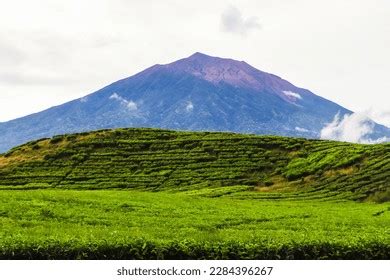 Gunung Kerinci Indonesia Stock Photos and Pictures - 500 Images ...