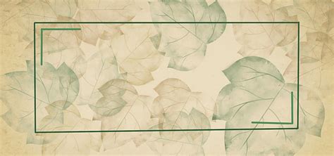 Aesthetic Vintage Coconut Leaves Background Vintage Leaves