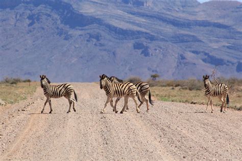 Top Tourist Attractions in Namibia - Daisy Vegabond