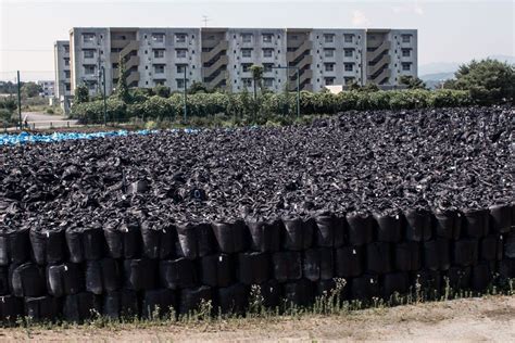 Stunning Photos Of The Abandoned Fukushima Exclusion Zone Turning Into Wilderness