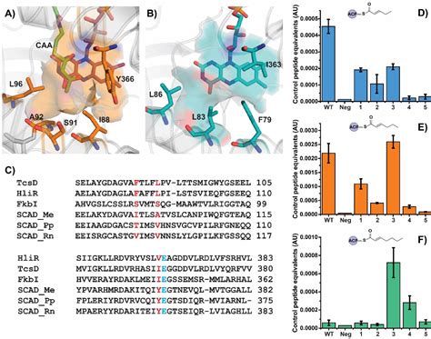 Figure 1 From Structural Control Of Regioselectivity In An Unusual