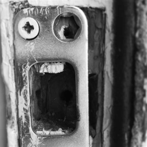 The Scream Rpareidolia