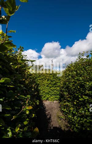 Maze at Russborough House, Blessington, County Wicklow, Ireland Stock Photo - Alamy