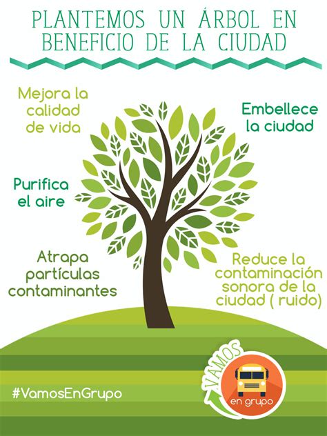 Frases Para El Dia Del Arbol Para Niños Hay Niños