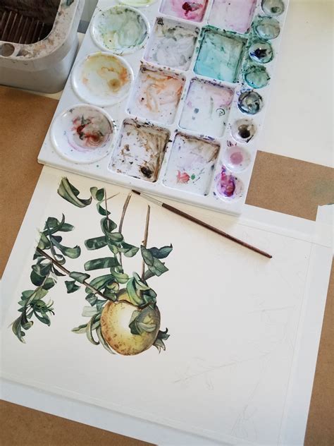 Pomegranate Original Watercolor Esther BeLer Wodrich