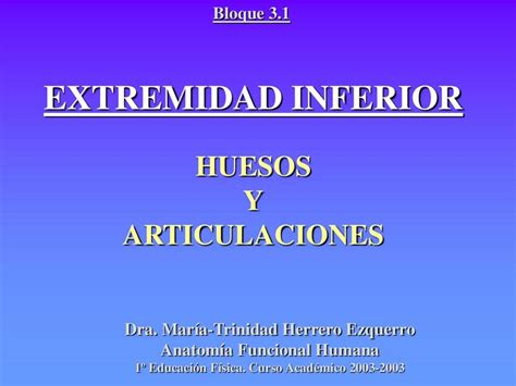 Extremidad Inferior Huesos Y Articulaciones Pensamiento Anat Mico Udocz