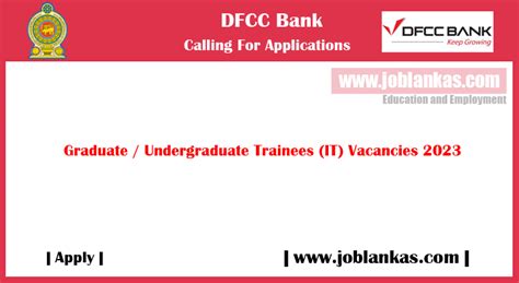 Graduate Undergraduate Trainees It Vacancies 2023 Dfcc Bank