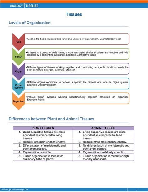 Tissues Class 9th Notes Pdf