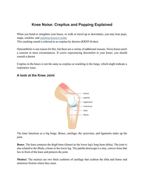 Knee Noise Crepitus And Popping Explained By Spinalogypune Issuu