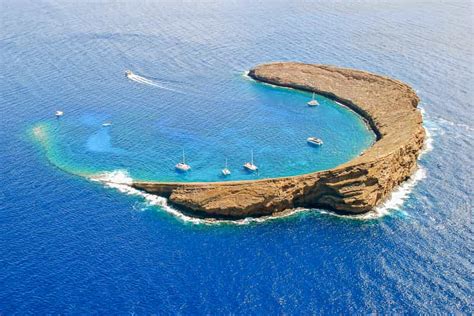 Maui Molokini And Turtle Town Snorkel Tour With Lunch Getyourguide