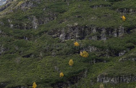 Synclinal Fold in the Mountains of Serra Do Courel Stock Photo - Image ...