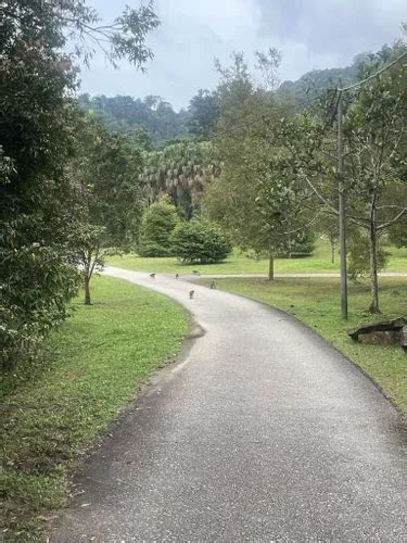 Best Hikes And Trails In Kepong Botanical Garden Alltrails