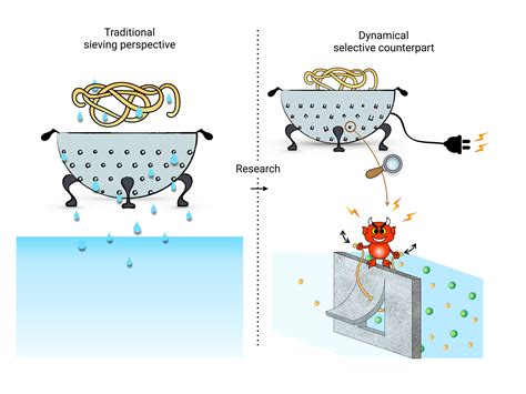 Active sieving could improve dialysis and water purification filters