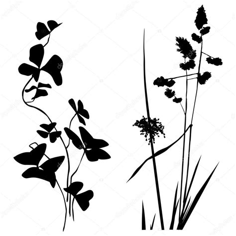 Colecci N De Siluetas Plantas En Blanco Y Negro Para Dise Adores Vector