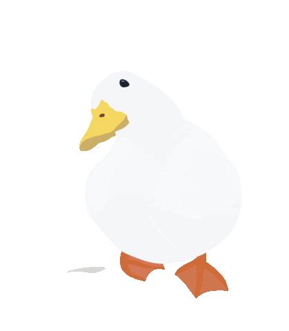 Duck Waddle Sticker for iOS & Android | GIPHY