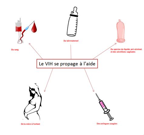 Ii Transmission Du Vih Et Moyens De Prévention Tpe Le Sida 2014 2015