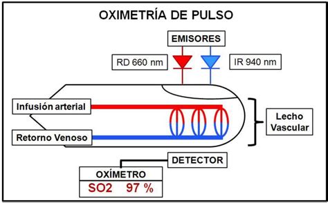 ¿qué Es Y Cómo Funciona Un Pulsioxímetro U Oxímetro De Pulso