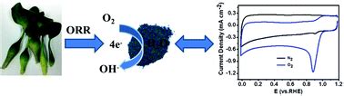 Biomass Derived Nitrogen Self Doped Porous Carbon As Effective Metal