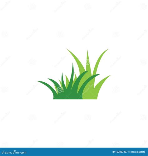 Green Grass Graphic Design Template Vector Isolated Stock Vector