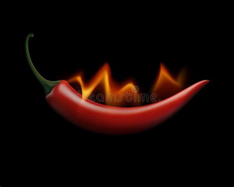 Red Hot Chili Pepper On Fire And Flame Isolated On White Background Stock Vector Illustration