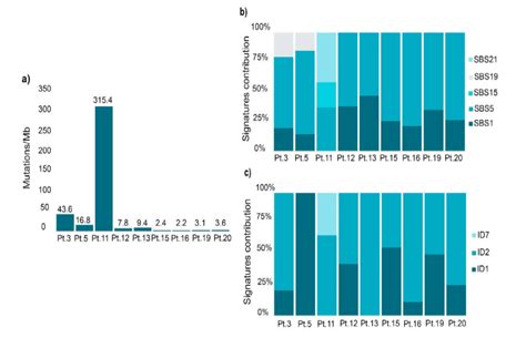 Somatic Mutational Profile Analysis Performed With SigProfilerExtractor