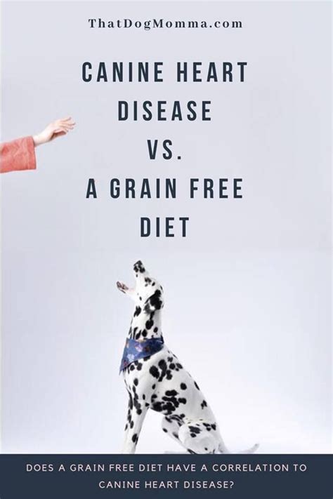 Fda Warns Grain Free Diet May Result In Canine Dilated Cardiomyopathy