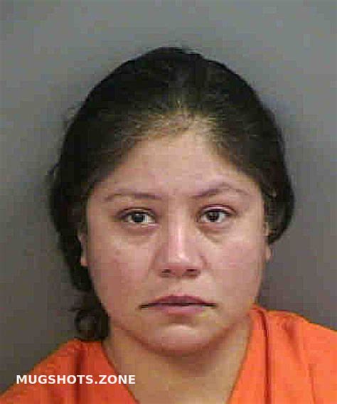 CISNERO ESPERANZA JIMENEZ 11 22 2022 Collier County Mugshots Zone