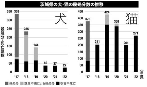 犬猫「殺処分ゼロ」の裏に“保護団体頼り”の現状。ひっ迫する現場のリアルな声を追う 日刊spa 2ページ目