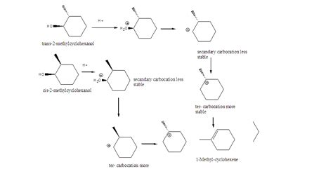 Solved Cis And Trans 2 Methylcyclohexanol Undergo Dehydration In