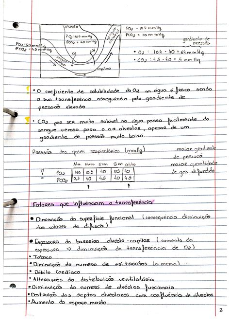 Solution Anatomofisiologia Respirat Ria Ii Studypool