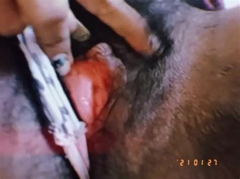 Free Cheating Wife Cuckold Porn Videos Xhamster