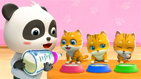 Kitty Cat Song | Play with Kittens | Pet Care Song | Nursery Rhymes ...