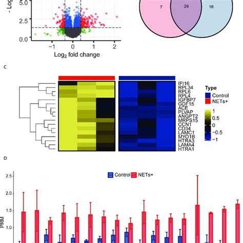 Screening Angpt 2 Based On Tmt Ms Ms Data And Prm Analysis A Download Scientific Diagram