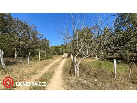 Venta Lote De Terreno En San Pedro Mixtepec Distrito Oaxaca