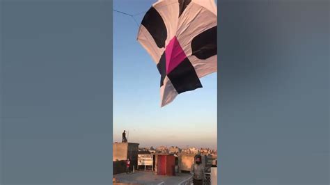 Basant Mela In Pindi 2017 Patang Bazi Kite Fighting Kite Flying