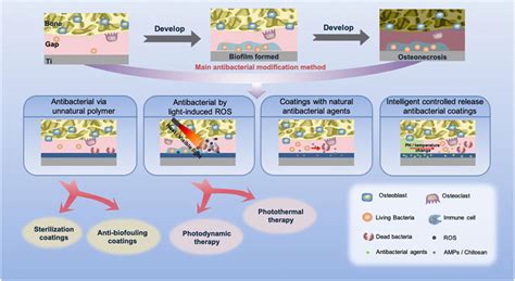 Frontiers Multifunctional Coatings Of Titanium Implants Toward Promoting Osseointegration And