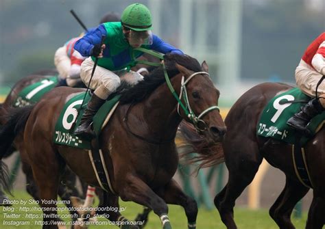 【東京スポーツ杯2歳ステークス2024予想】大物感あるクロワデュノール