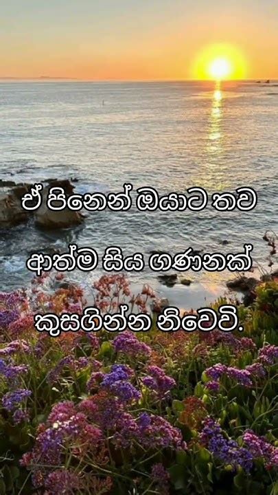 ️💯 ️ ඔයාටත් පුළුවන් නම් මේ දේ කරන්න ️🙏🙏shorts Youtube