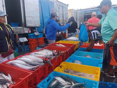 Áncash precio del pescado se incrementa en Chimbote por Semana Santa