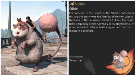 Final Fantasy Xiv How To Get The Silkie Mount The Nerd Stash