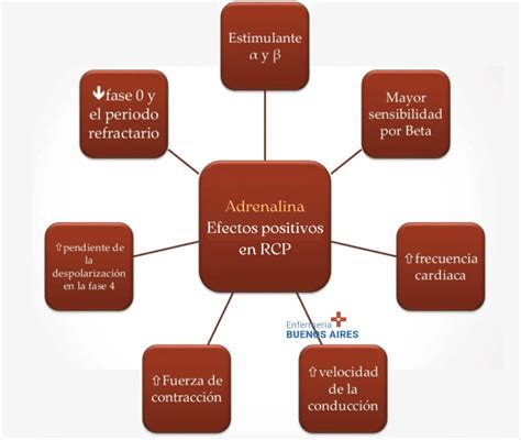 Qu Medicamentos Se Utilizan En Rcp