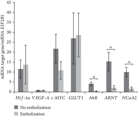 mRNA levels of HIF 1α AhR ARNT VEGF A c Myc GLUT1 and NcoA2 in