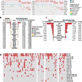 Drug Resistant Mechanism Analysis Using Patients With Paired Baseline