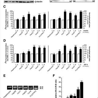 IR Status In Human HCC Tumors A QPCR Analysis Of Total IR MRNA