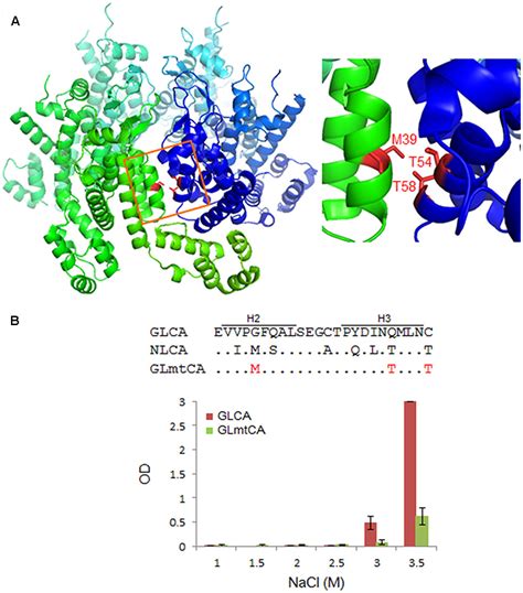 Frontiers Comparison Of Biochemical Properties Of Hiv 1 And Hiv 2