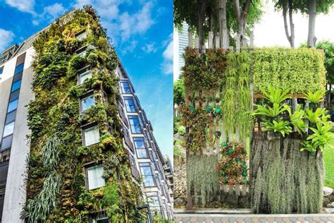 Jardines Verticales en qué consisten características e importancia