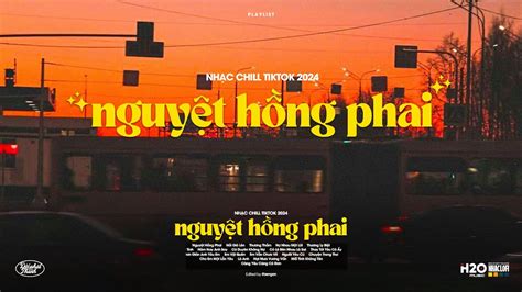 B Ng Tr Ng Phai T N R I Lofi Ver Hoa Kia R I V T Nh M Ta C Sao V H Nh Hot Tiktok